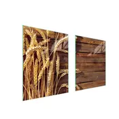 shumee STEKLENA ZAŠČITNA PLOŠČA ZA ŠTEDILNIK 85x52 WHEAT