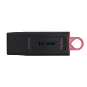 Kingston USB flash UFD 256GB DTX KIN ( 0001204552 )