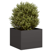 Sadilica crna 40x40x30 cm od celika