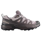 Moška obutev za uporabo na prostem Salomon X Ultra 360 LTR GTX P Paloma/Dark Gull Gray/Bog UK 10,5