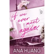 If We Ever Meet Again