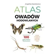 Atlas owadów hodowlanych. 100 gatunków