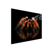 shumee STEKLENA DESKA ZA REZANJE 52x30 SPIDER