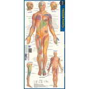 Trigger Points: a QuickStudy Laminated Anatomy Reference Guide