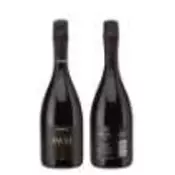 *PJENUŠAC ŠEMBER PAVEL 0.75L VRH BRUT 2022 -6/1-