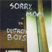 Destroy Boys - Sorry Mom (Indie Exclusive) (Opaque Yellow & Black Coloured) (LP)