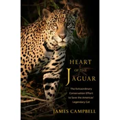 Heart of the Jaguar