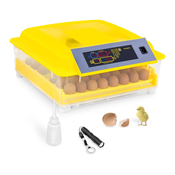 Inkubator za jaja - 48 jaja - uklj. Svijecnjak za jaja i dozator vode - potpuno automatski