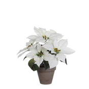 Umetna božična zvezda bela, 27cm, fi 11.5cm, glinen lonec
