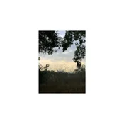 Jon Porras - Arroyo (Limited Edition) (LP)