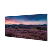 tulup.si Slika na akrilnem steklu Terenske vresovke 125x50 cm 4 obešalnika