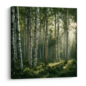 Slika tihi brezov gaj v megli - 30x30
