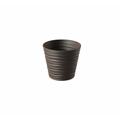 Saksija bora moka 30 cm