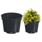 Plastični lonec za pridelavo, črn, 5 l, 23 cm