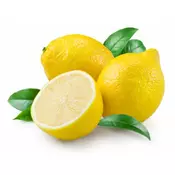 LIMUN-