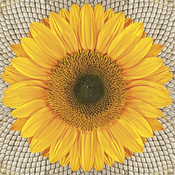 Salvete za dekupaž Sunflower on Seeds - 1 kom (salvete za)