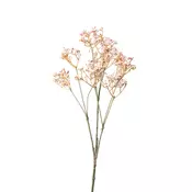 GIPSOFILA