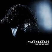 Matmatah - Youre Here, Now What ? (2 LP)
