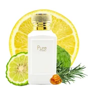 shumee Attar & Co Pure Oud EDP 100 ml