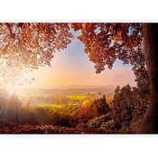 artgeist Fototapeta Autumn Delight, 350x245cm