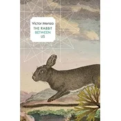 The Rabbit Between Us
