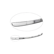Decorative trunk door trim Jaecoo 7 2023- (under license plate, matte)
