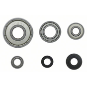 Bosch set ležajev s kolesi, ležaj - zagnane kroglice 2608629391