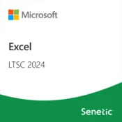Excel LTSC 2024