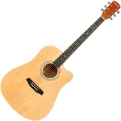 Pasadena PDC-10 Natural Akusticna gitara