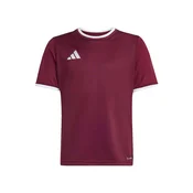 ADIDAS PERFORMANCE Funkcionalna majica ENT26 burgund/bela