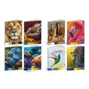TomatShop Zvezek A4 Animal Palette, Karo zvezki