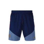 ADIDAS PERFORMANCE Športne hlače Teamline golobje modra/temno modra/rdeča