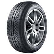 Sunny Wintermax NW611 ( 205/65 R15 94T )