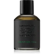 Laboratorio Olfattivo Underground Vibes parfum intense uniseks 100 ml