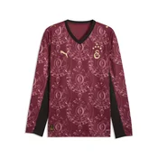 PUMA Galatasaray SK Long Sleeve Third Jersey Men, Clothing, Regal Red/Gold, XL