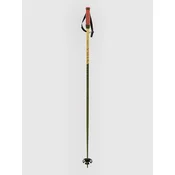 Völkl Phantastick 18mm 2027 Ski Poles green