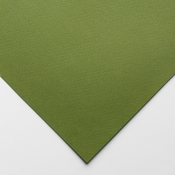 Papir boja B1 160g Tiziano 1/10 MUSCHIO