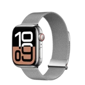 Biaodai Zamenska narukvica za pametni sat za Apple Watch, Srebrna