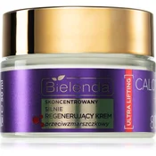 Bielenda Calcium + Q10 Concentrated, strongly regenerating anti-wrinkle cream for day 80+ dnevna krema za učvrstitev kože in proti gubam 50 ml