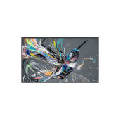 Philips 32BDL3511Q/00 monitor, 32