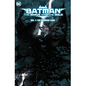 Batman: The Brave and the Bold: The Winning Card