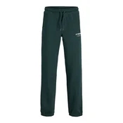 Jack & Jones Junior Hlače JPSTKane jelka
