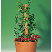WINDHAGER OPORNIK 80 CM