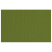 Papir u boji A4 220g Elle Erre Fabriano 42450728 maslinasto zeleni (verdone) pk50