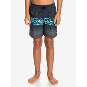 QUIKSILVER WORDBLOCK VOLLEY 14 Swim Shorts