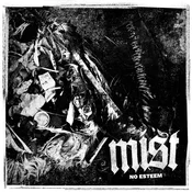 Mist - No Esteem (LP)