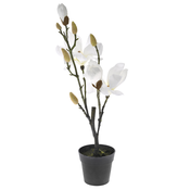 DIKER HOME Veštacka magnolija u saksiji 50 cm bela
