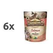 Carnilove Dog Puppy - losos & borovnica, vrečka 300g 6 x 300 g