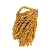 Bar za ptice 200g Aro