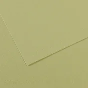 Canson Mi-Teintes papir za pastel 50 x 65 cm 160 g 25 listov - Svetlo zelena 480
